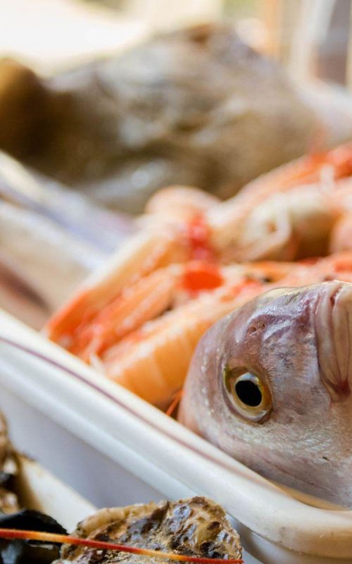Crudo di mare Viareggio – pesce fresco e ostriche in vetrina