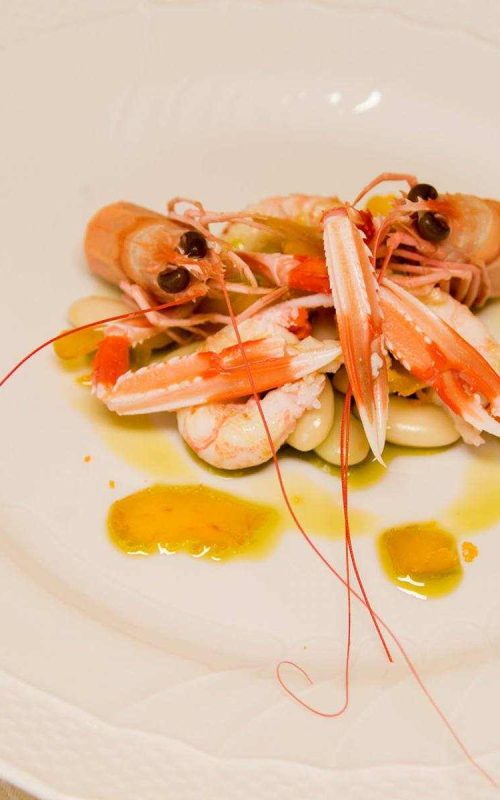 Crudo di mare Viareggio – scampi crudi con olio all'arancia