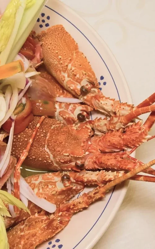 Menu ristorante di pesce Viareggio – aragosta con verdure e ravanelli